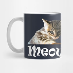 Cute Cats and Kittens Mug